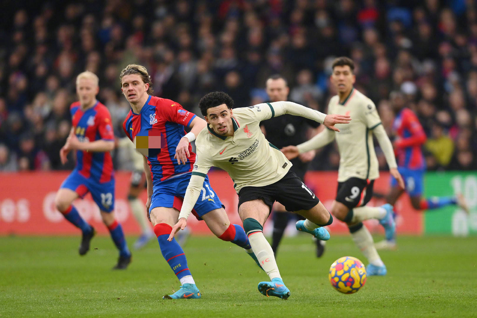 展现更高水 展现更高水